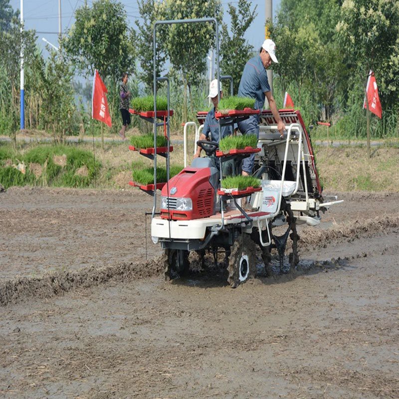 Rice Paddy Planting Machine manufacturers