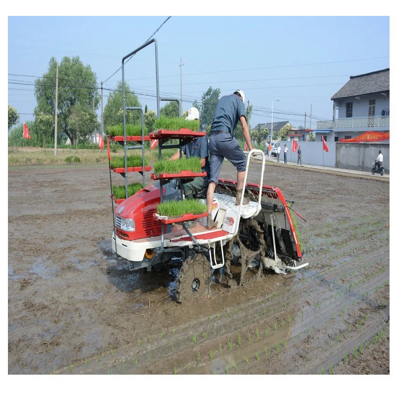 Rice Paddy Planting Machine factory