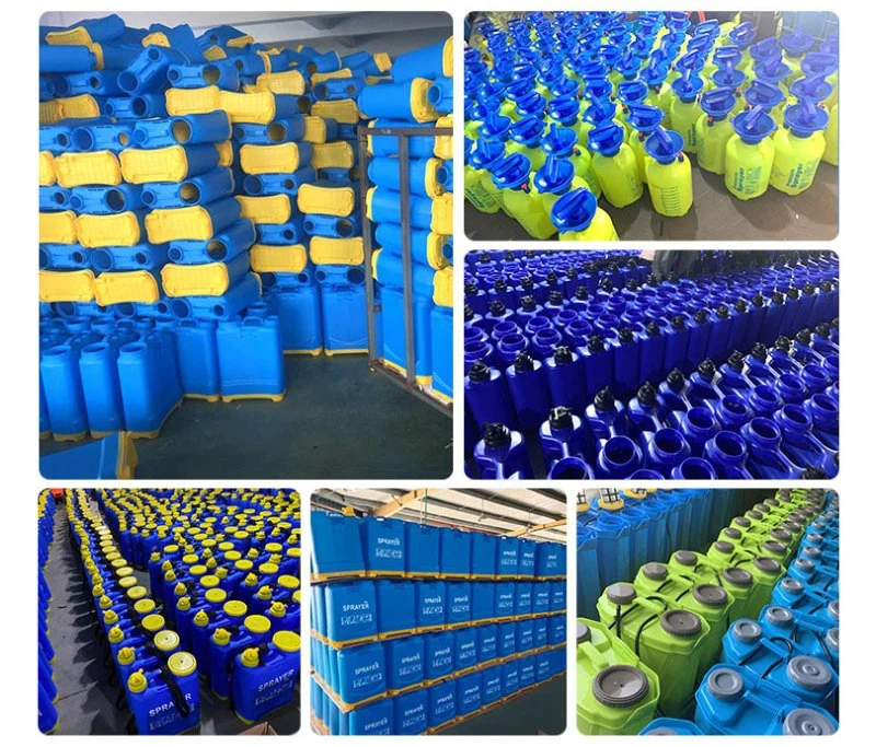 Hand Pump Sprayer for Agriculture packing