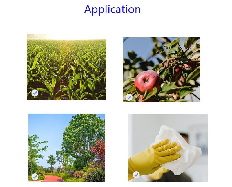 Small Pressure Pump Sprayer application