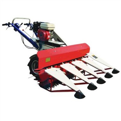 Paddy Harvesting Machine