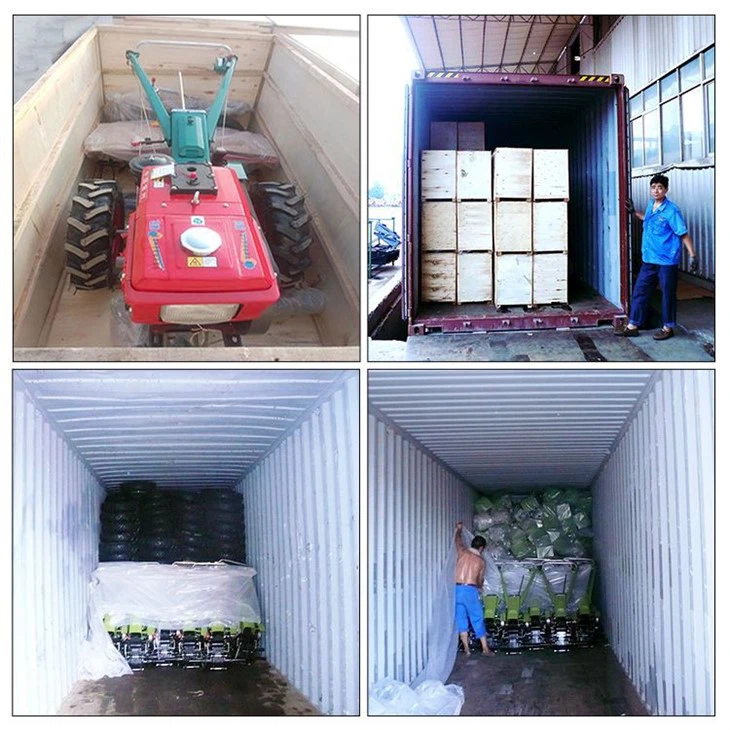 Packing and Transpotation 